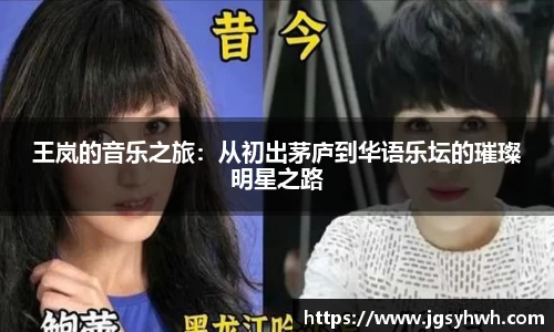 王岚的音乐之旅：从初出茅庐到华语乐坛的璀璨明星之路